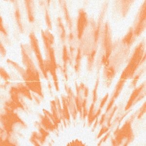 Meet your Posher, Anne